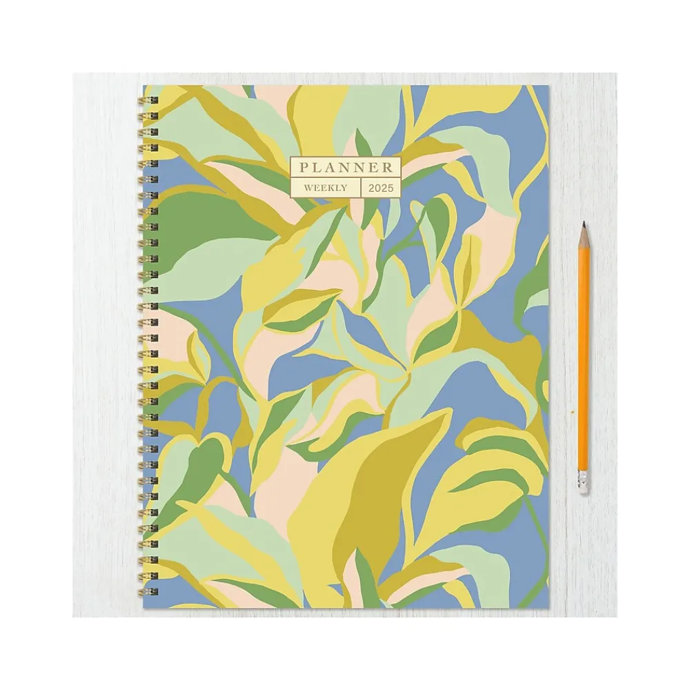 2025 Planners|TF Publishing 2025 9" x 11" Weekly & Monthly Planner, Paperboard Cover, Multicolor (25-9706)