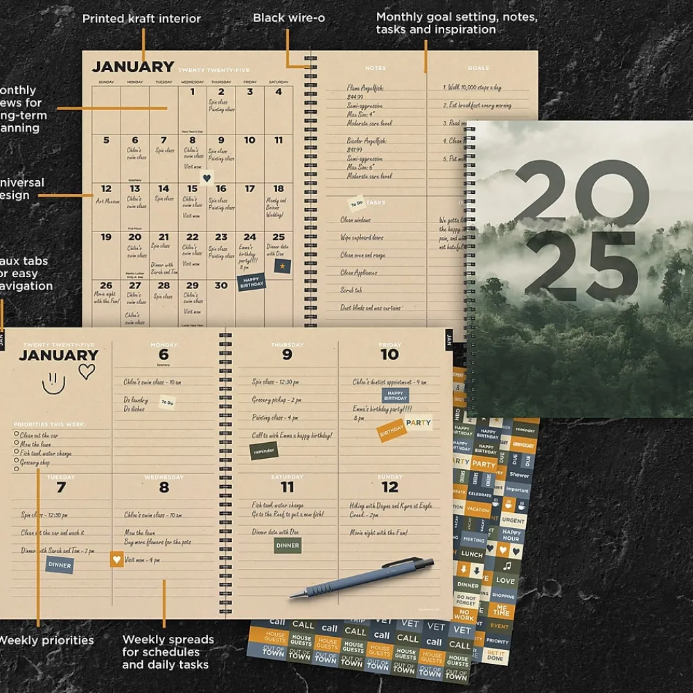 2025 Planners|TF Publishing 2025 Forest Mist 9" x 11" Weekly & Monthly Planner, Paperboard Cover, Multicolored (25-9700)