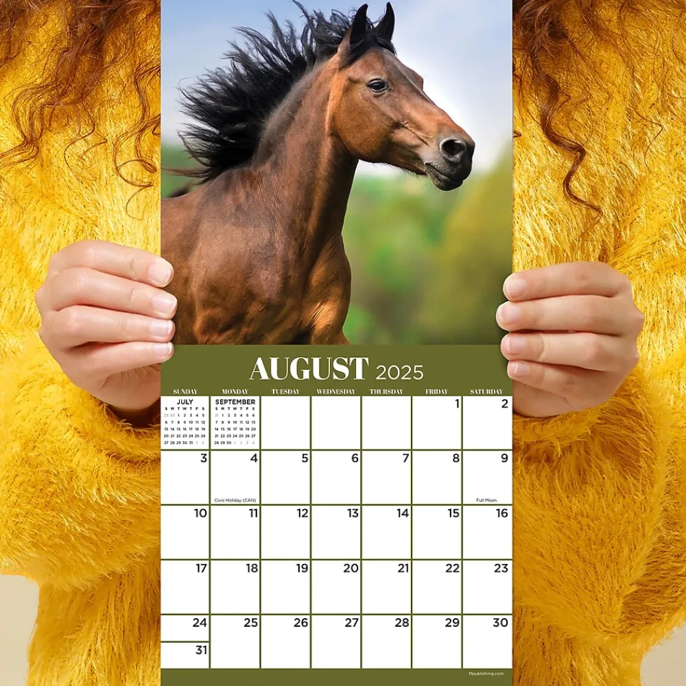 2025 Calendars|TF Publishing 2025 Horses 7" x 7" Monthly Wall Calendar (25-2001)