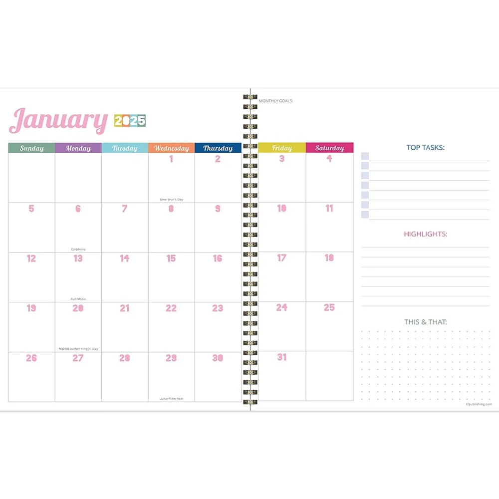 2025 Planners|TF Publishing 2025 Madras Plaid 9" x 11" Weekly & Monthly Planner, Paperboard Cover, Multicolored (25-9714)