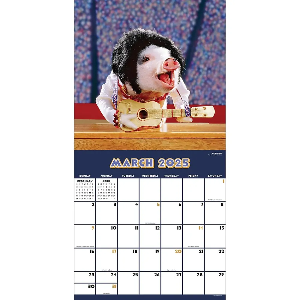 2025 Calendars|TF Publishing 2025 Playful Pigs 12" x 12" Monthly Wall Calendar (25-1023)