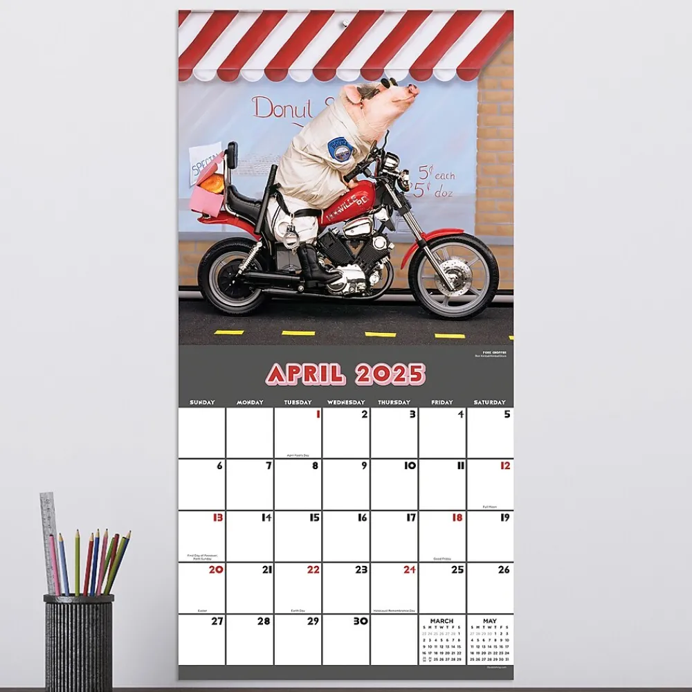 2025 Calendars|TF Publishing 2025 Playful Pigs 12" x 12" Monthly Wall Calendar (25-1023)