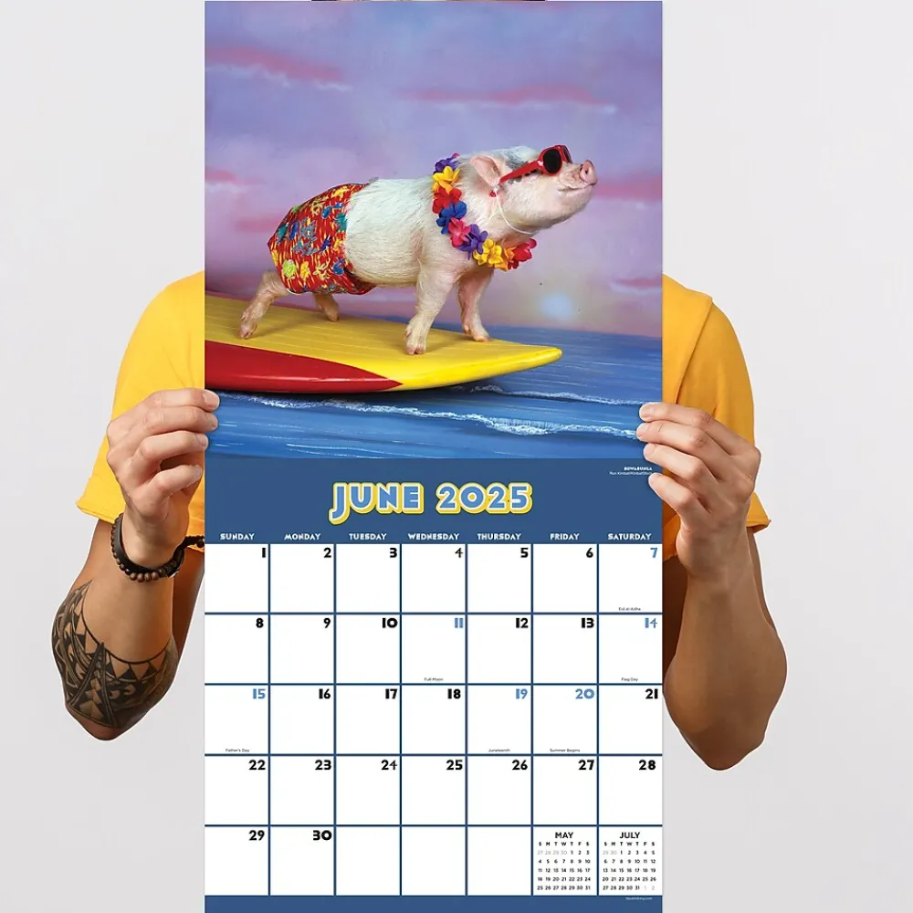 2025 Calendars|TF Publishing 2025 Playful Pigs 12" x 12" Monthly Wall Calendar (25-1023)