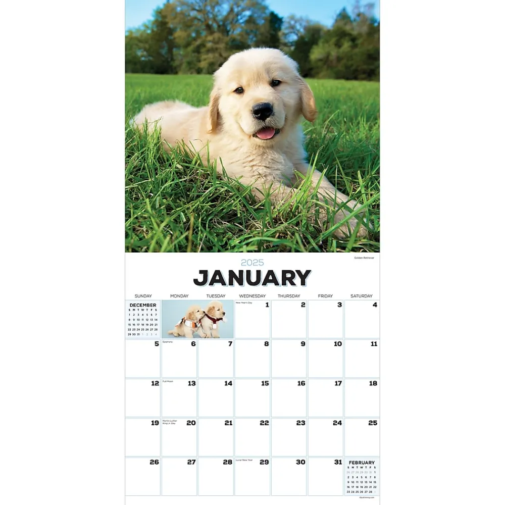2025 Calendars|TF Publishing 2025 Puppies 12" x 12" Monthly Wall Calendar (25-1025)