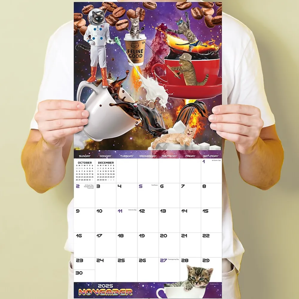 2025 Calendars|TF Publishing 2025 Space Cats 12" x 12" Monthly Wall Calendar (25-1026)