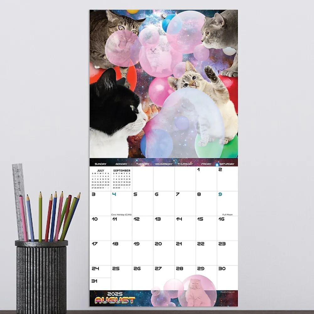 2025 Calendars|TF Publishing 2025 Space Cats 7" x 7" Monthly Wall Calendar (25-2009)