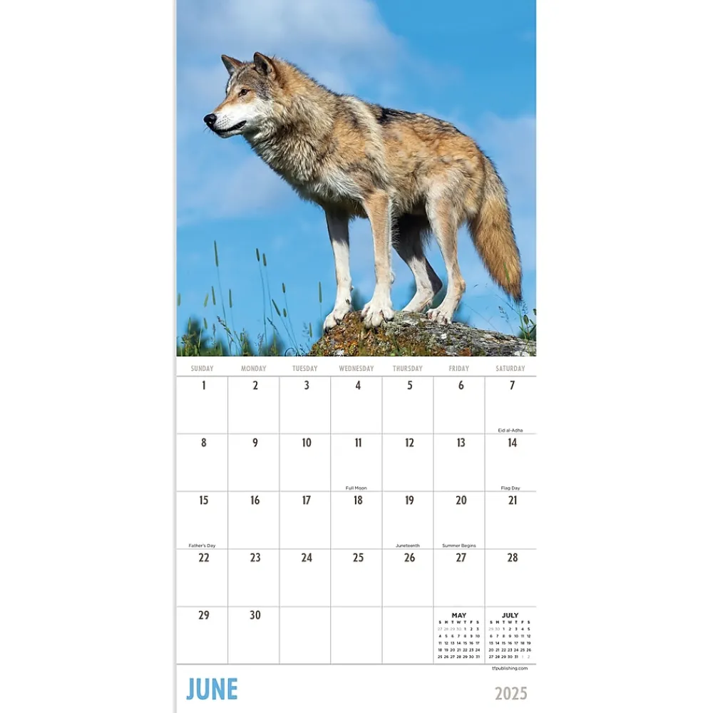 2025 Calendars|TF Publishing 2025 Wolves 7" x 7" Monthly Wall Calendar (25-2015)