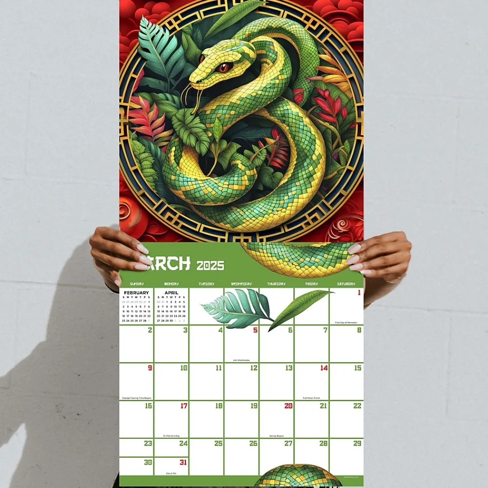 2025 Calendars|TF Publishing 2025 Year of the Snake 12" x 12" Monthly Wall Calendar (25-1136)