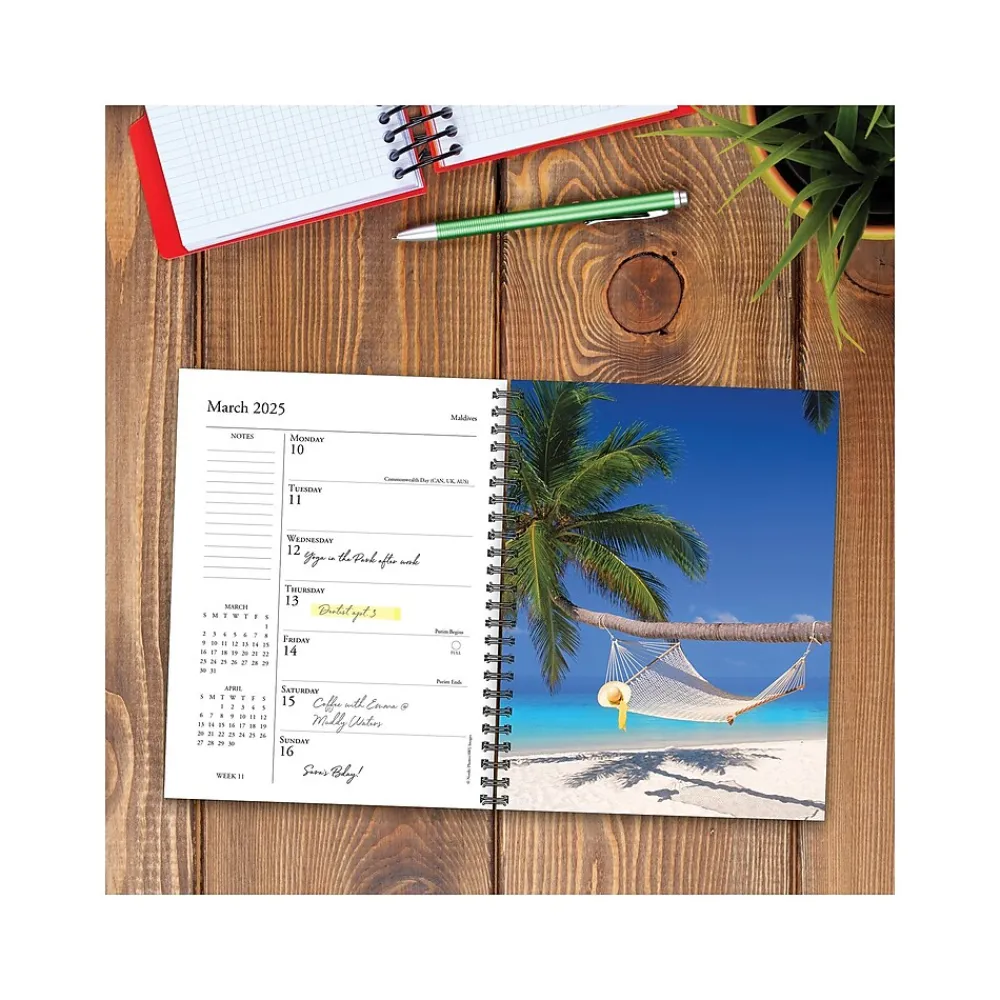 2025 Planners|Willow Creek 2025 Ah, the Beach! 6.5" x 8.5" Weekly Planner, Paper Cover, Multicolor (46050)