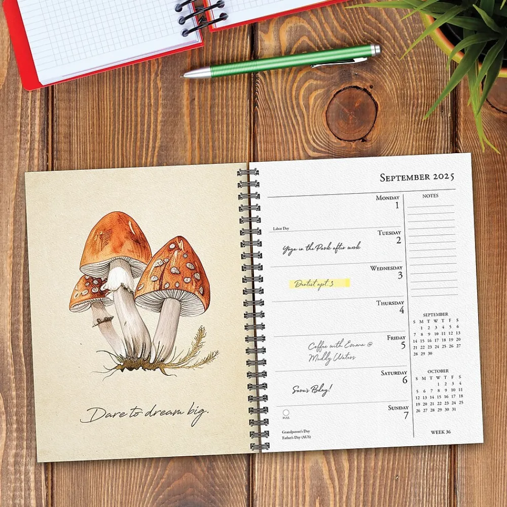 2025 Planners|Willow Creek 2025 Art of the Mushroom 6.5" x 8.5" Weekly & Monthly Planner (47231)