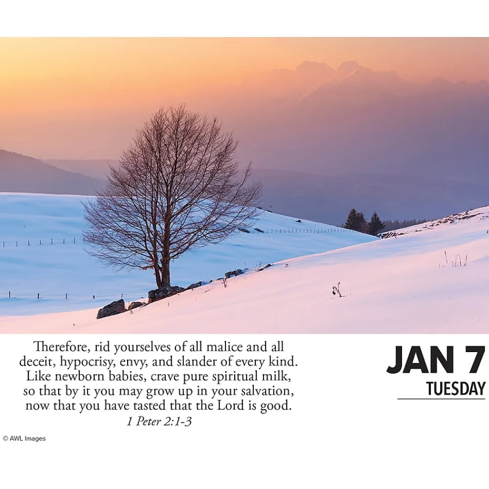 2025 Calendars|Willow Creek 2025 Bible Verses 6" x 5.5" Day-to-Day Calendar (40669)