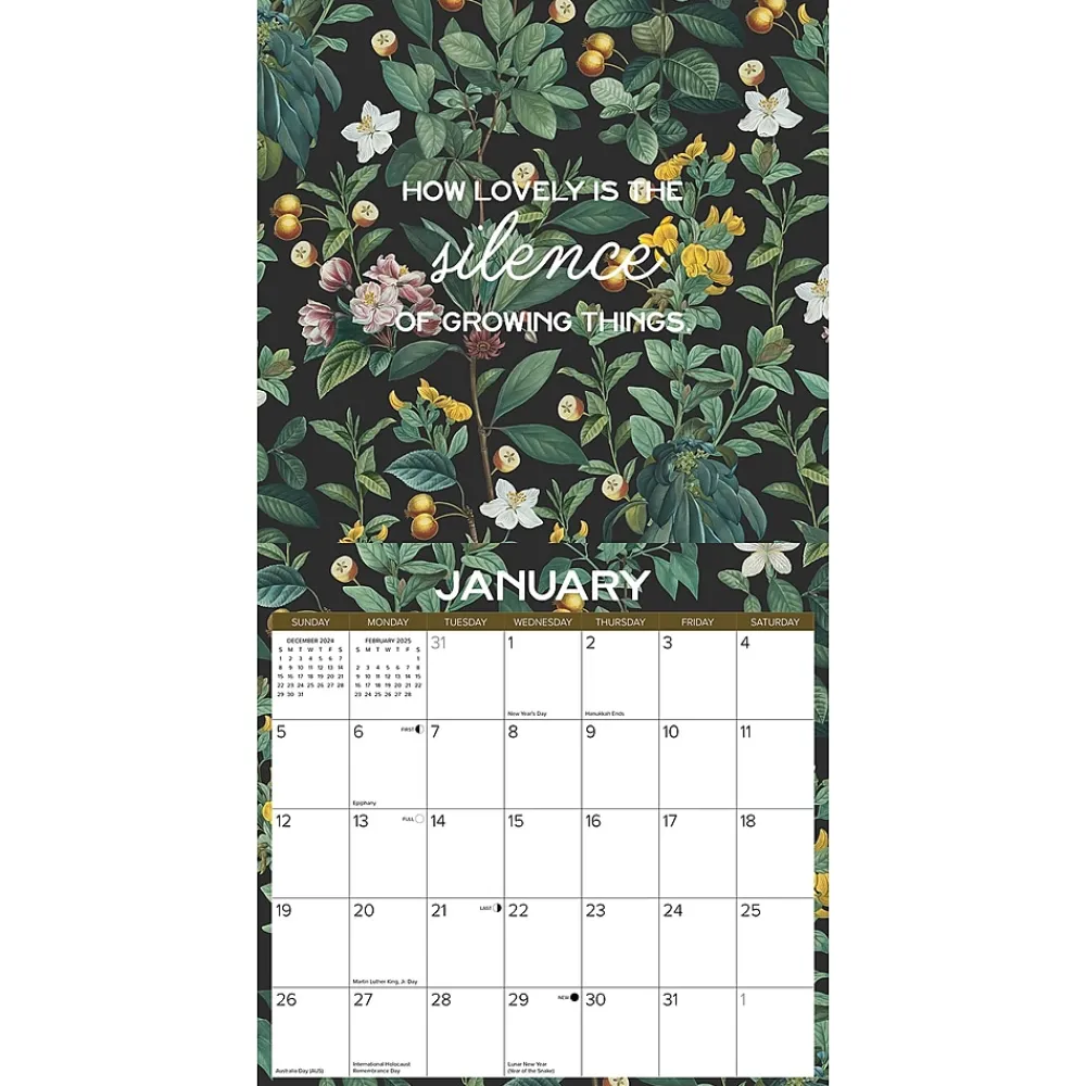 2025 Calendars|Willow Creek 2025 Botanical Nature 12" x 12" Monthly Wall Calendar (41987)