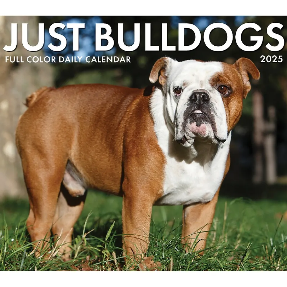 2025 Calendars|Willow Creek 2025 Bulldogs 6" x 5.5" Day-to-Day Calendar, Multicolor (40706)