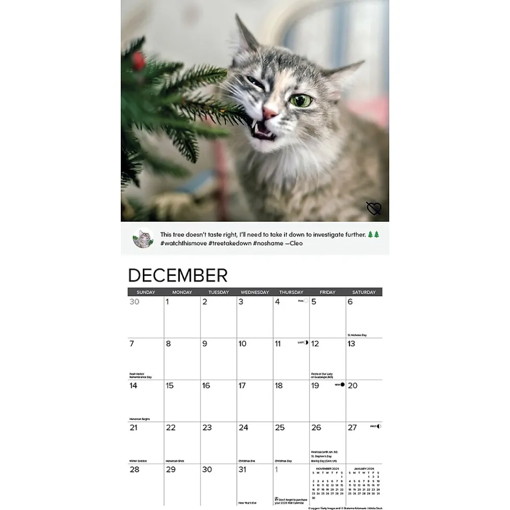 2025 Calendars|Willow Creek 2025 Cat Shaming 12" x 12" Monthly Wall Calendar (42205)