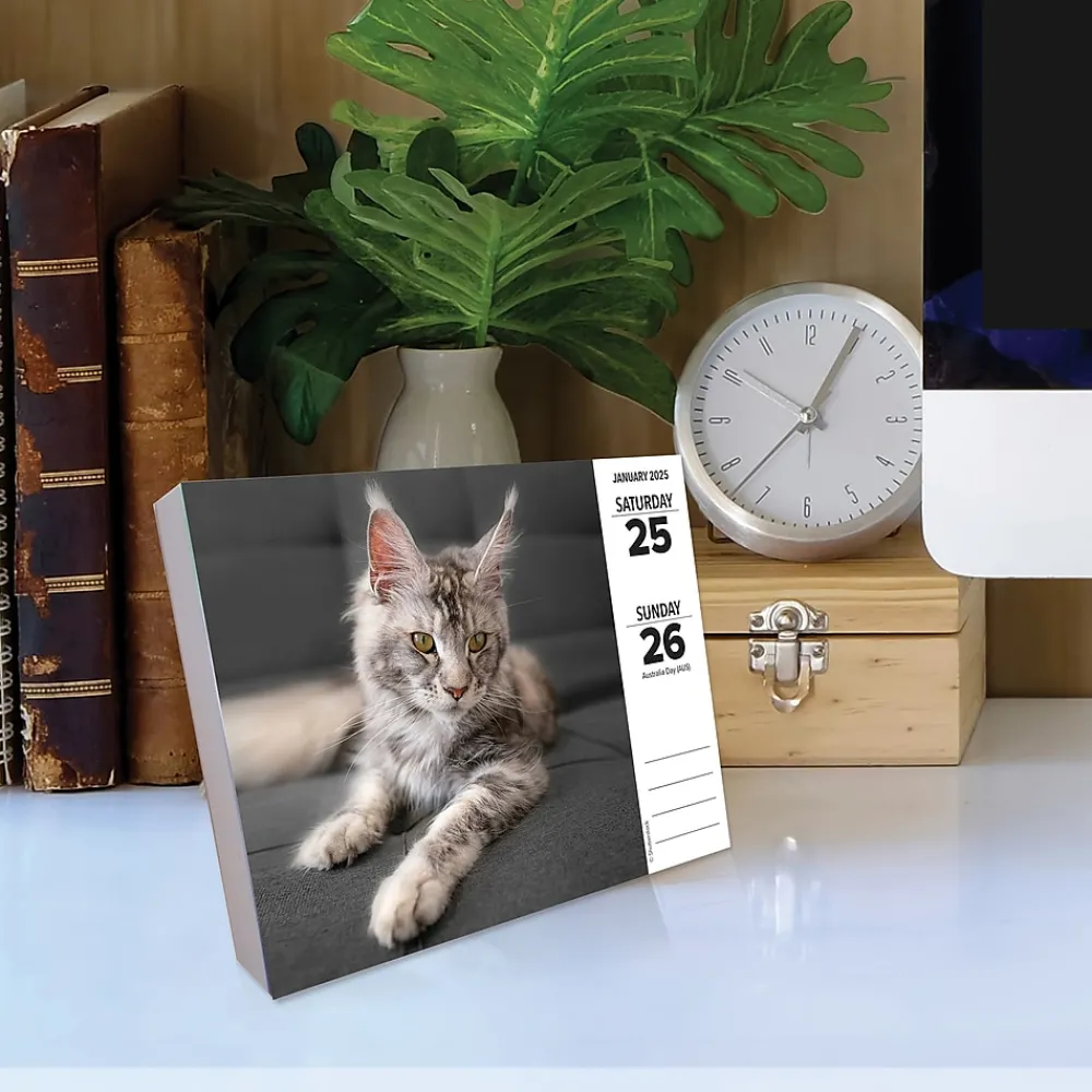 2025 Calendars|Willow Creek 2025 Cats 6" x 5.5" Day-to-Day Calendar, Multicolor (40720)