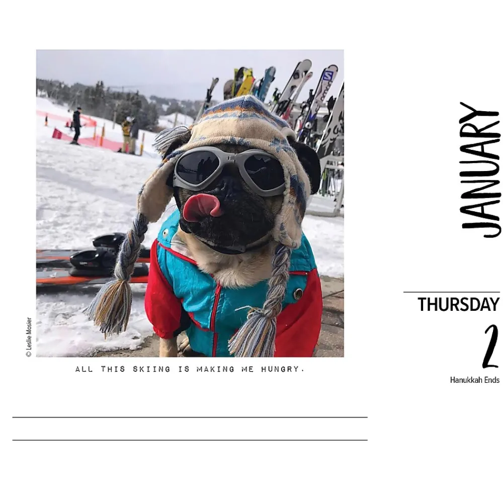 2025 Calendars|Willow Creek 2025 Doug the Pug 6" x 5.5" Day-to-Day Calendar (40829)