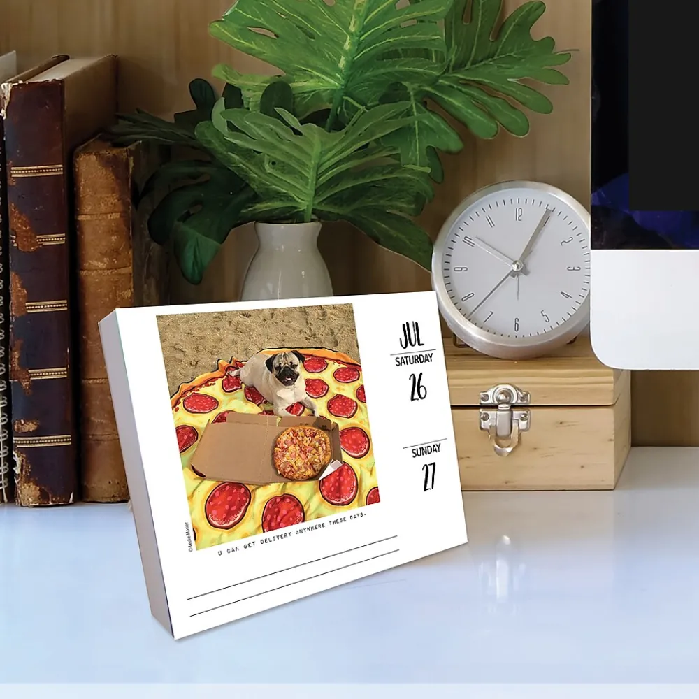 2025 Calendars|Willow Creek 2025 Doug the Pug 6" x 5.5" Day-to-Day Calendar (40829)
