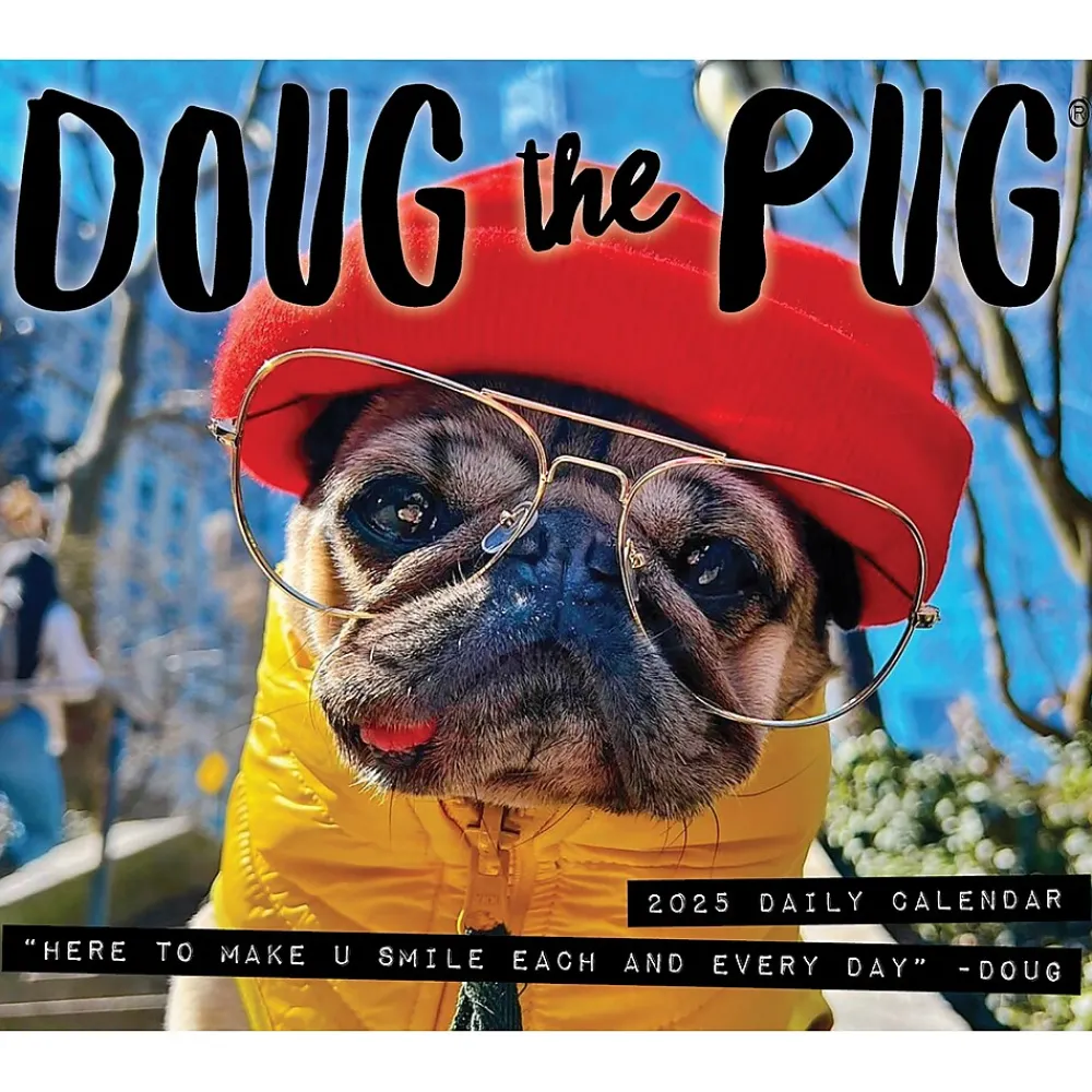 2025 Calendars|Willow Creek 2025 Doug the Pug 6" x 5.5" Day-to-Day Calendar (40829)