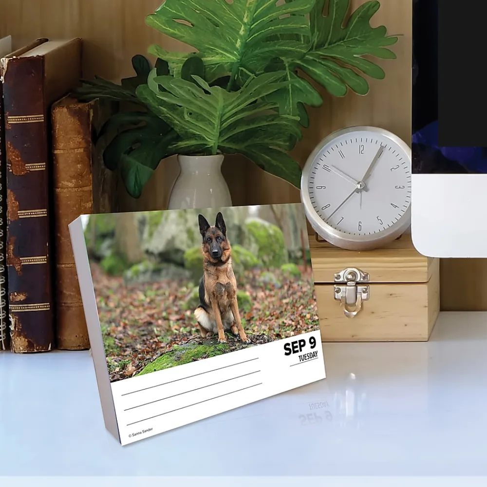 2025 Calendars|Willow Creek 2025 German Shepherds 6" x 5.5" Day-to-Day Calendar, Multicolor (40843)