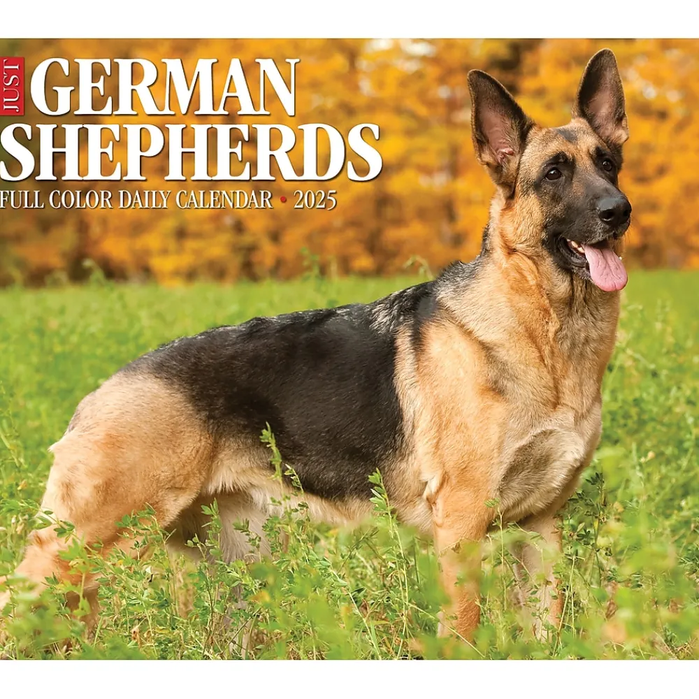 2025 Calendars|Willow Creek 2025 German Shepherds 6" x 5.5" Day-to-Day Calendar, Multicolor (40843)