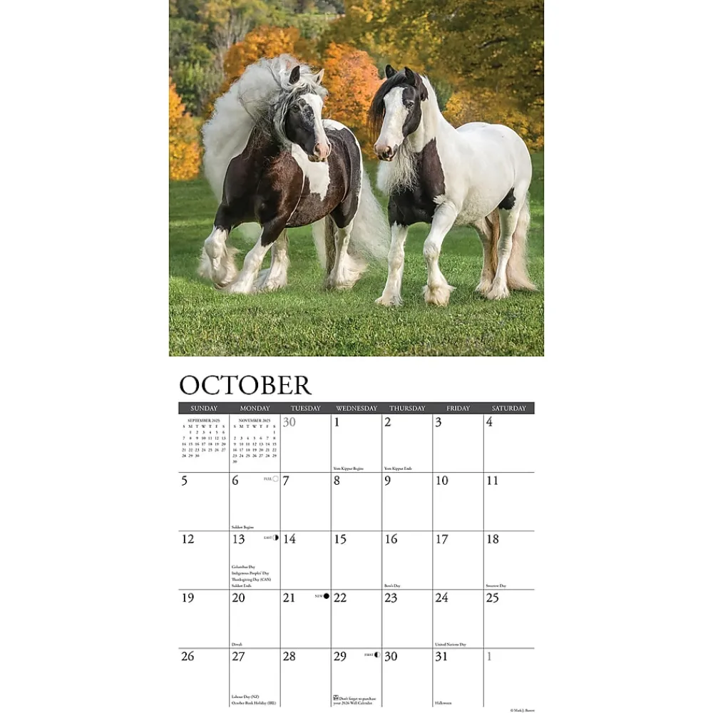 2025 Calendars|Willow Creek 2025 Gypsy Vanner Horse 12" x 12" Monthly Wall Calendar (43264)