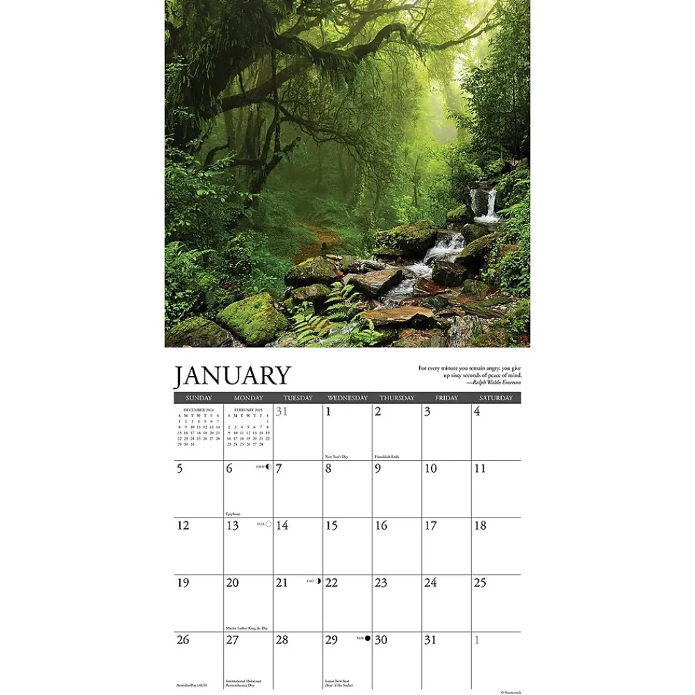 2025 Calendars|Willow Creek 2025 Heaven Has a Forest 12" x 12" Monthly Wall Calendar (43325)