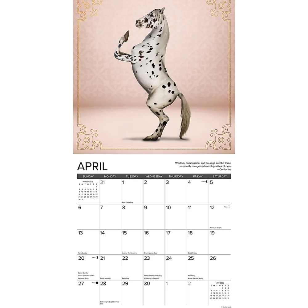 2025 Calendars|Willow Creek 2025 Horse Yoga 12" x 12" Monthly Wall Calendar (43370)