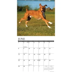 2025 Calendars|Willow Creek 2025 Just Boxers 12