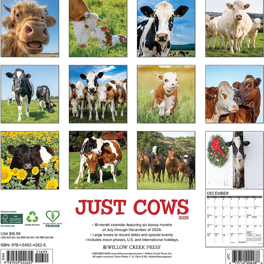 2025 Calendars|Willow Creek 2025 Just Cows 12" x 12" Monthly Wall Calendar (42625)