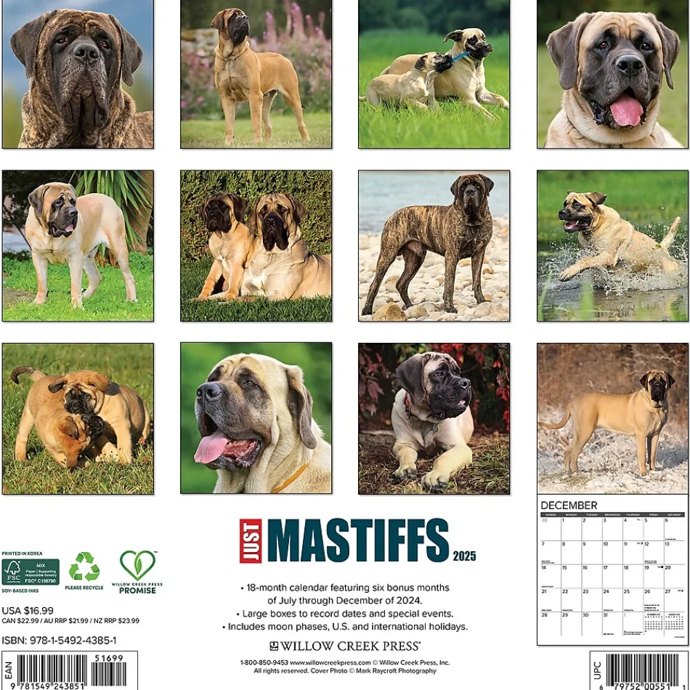2025 Calendars|Willow Creek 2025 Just Mastiffs 12" x 12" Monthly Wall Calendar (43851)