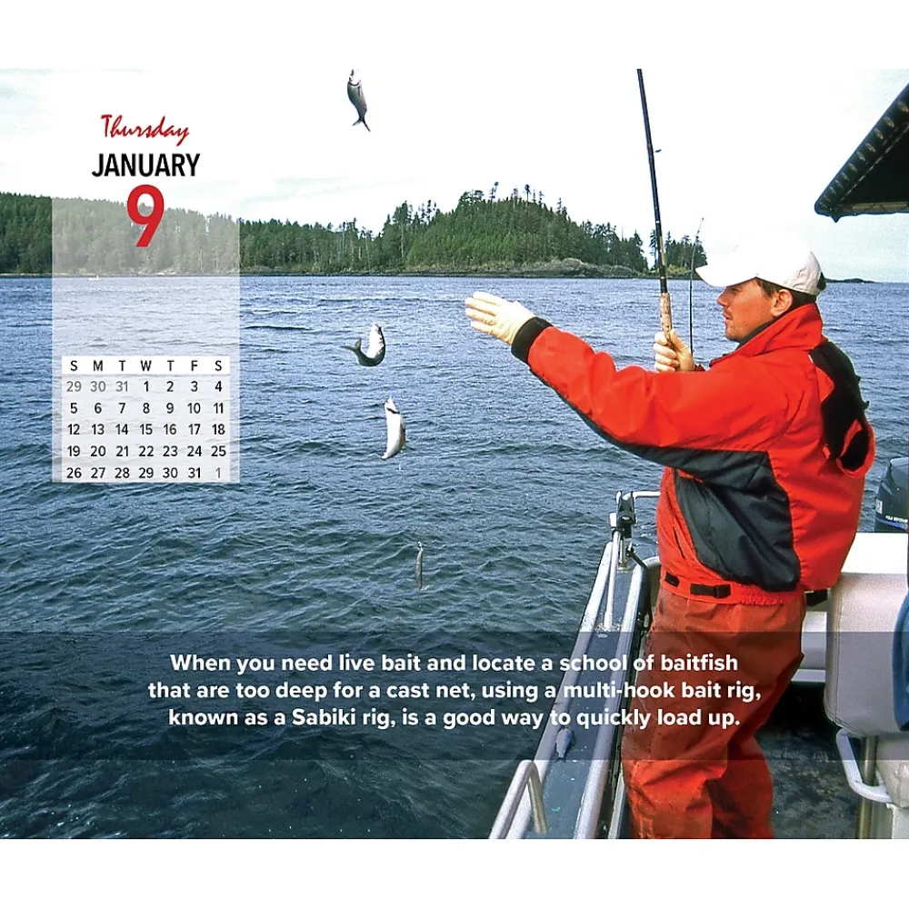 2025 Calendars|Willow Creek 2025 Ken Schultz's Daily Fishing Tips 6" x 5.5" Day-to-Day Calendar, Multicolor (40904)