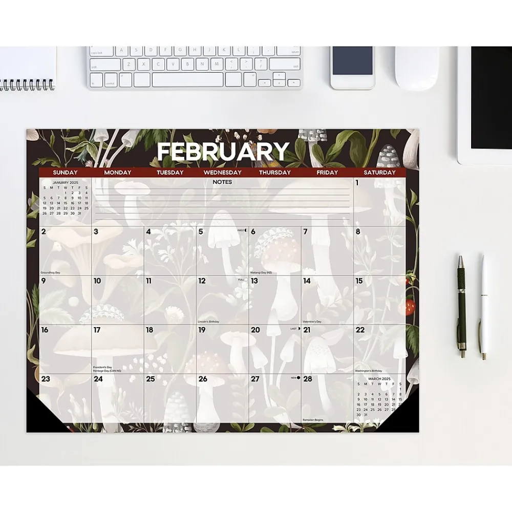 2025 Calendars|Willow Creek 2025 Mushrooms 22" x 17" Monthly Desk or Wall Calendar (47927)