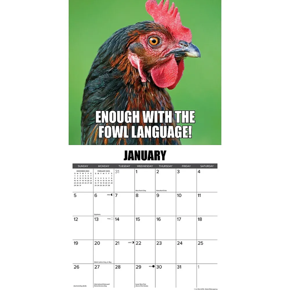 2025 Calendars|Willow Creek 2025 No Clucks Given 12" x 12" Monthly Wall Calendar (44216)