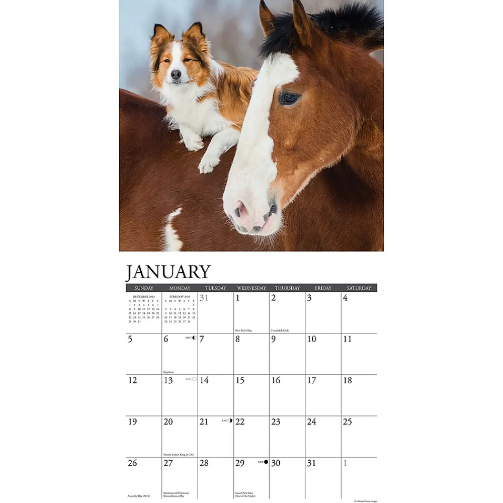 2025 Calendars|Willow Creek 2025 Pet Pals 12" x 12" Monthly Wall Calendar (44438)