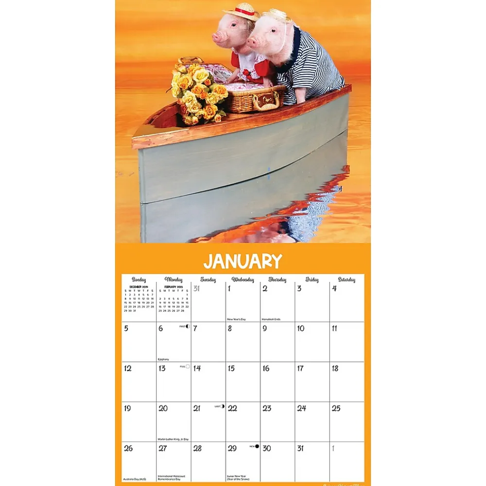 2025 Calendars|Willow Creek 2025 Pigs at Play 12" x 12" Monthly Wall Calendar (44469)