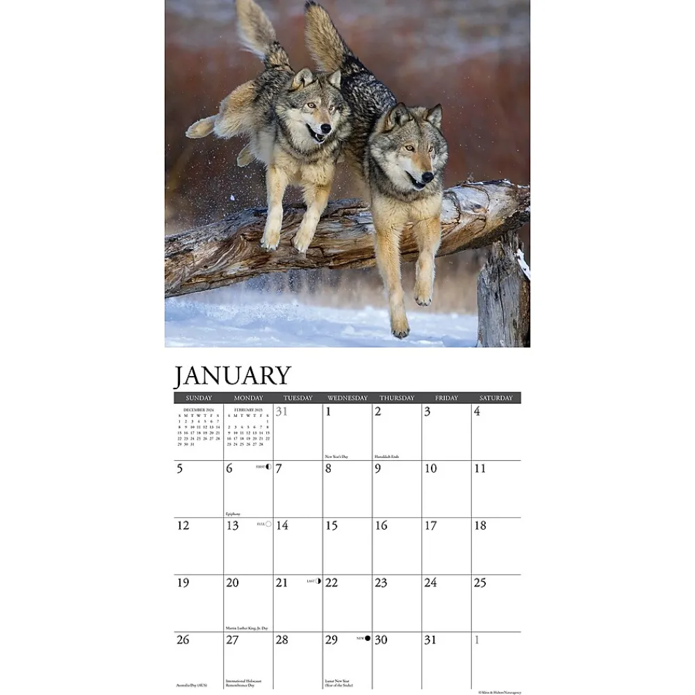 2025 Calendars|Willow Creek 2025 Spirit of the Wolf 12" x 12" Monthly Wall Calendar (45008)