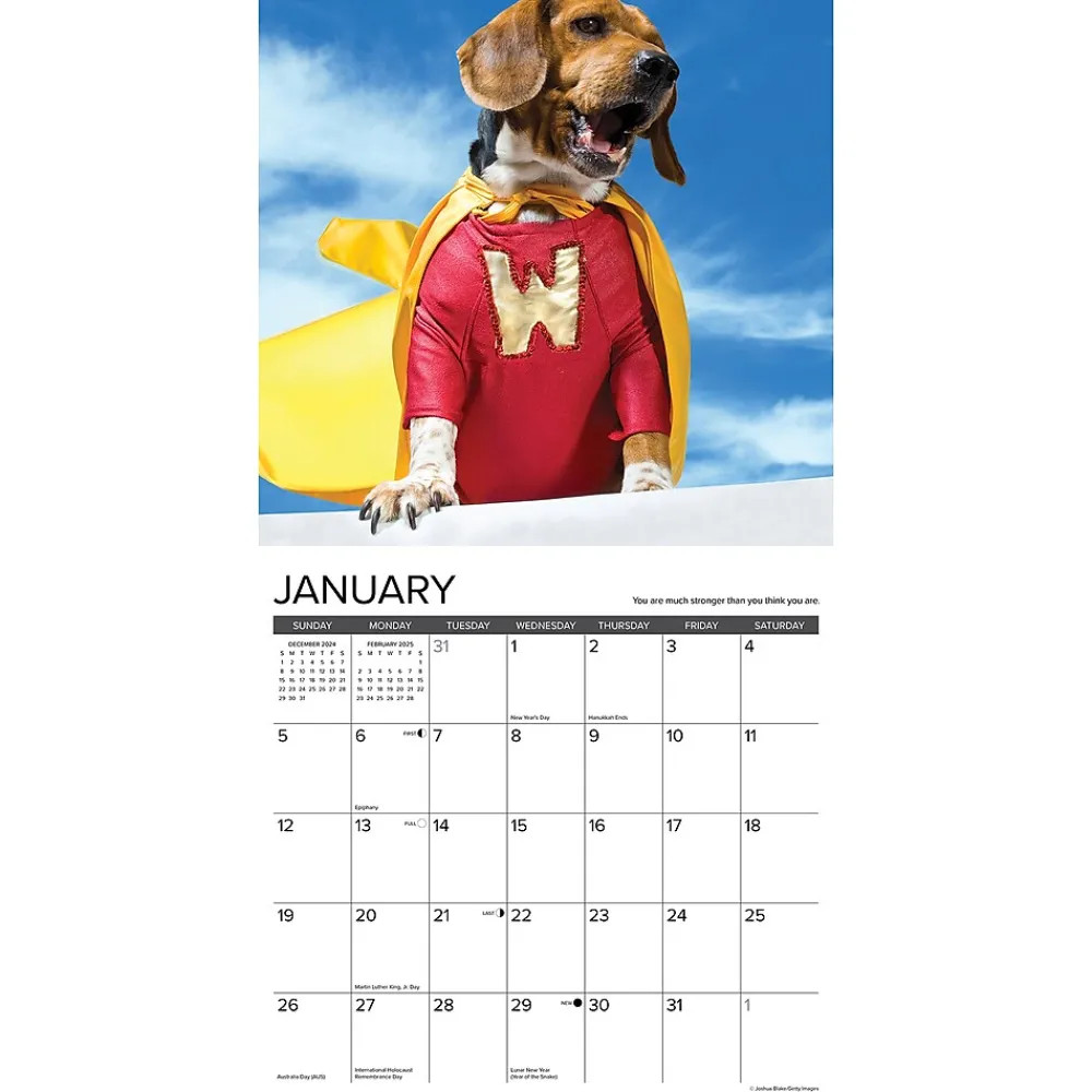2025 Calendars|Willow Creek 2025 What Dogs Teach Us 12" x 12" Yearly Wall Calendar (45350)