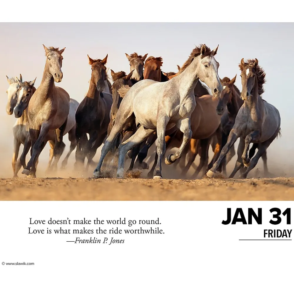 2025 Calendars|Willow Creek 2025 What Horses Teach Us 6" x 5.5" Day-to-Day Calendar (41123)