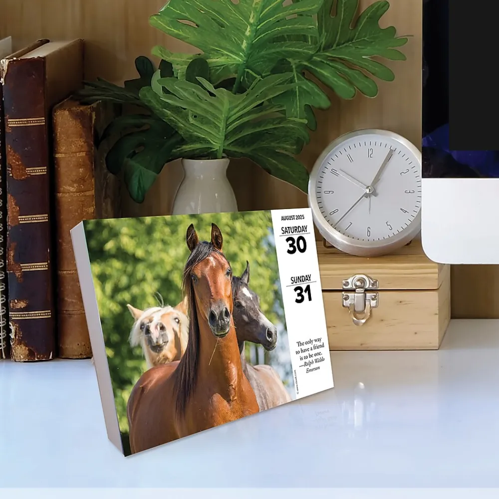 2025 Calendars|Willow Creek 2025 What Horses Teach Us 6" x 5.5" Day-to-Day Calendar (41123)