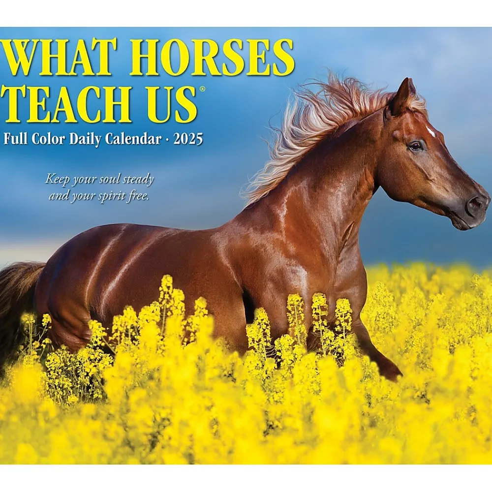 2025 Calendars|Willow Creek 2025 What Horses Teach Us 6" x 5.5" Day-to-Day Calendar (41123)