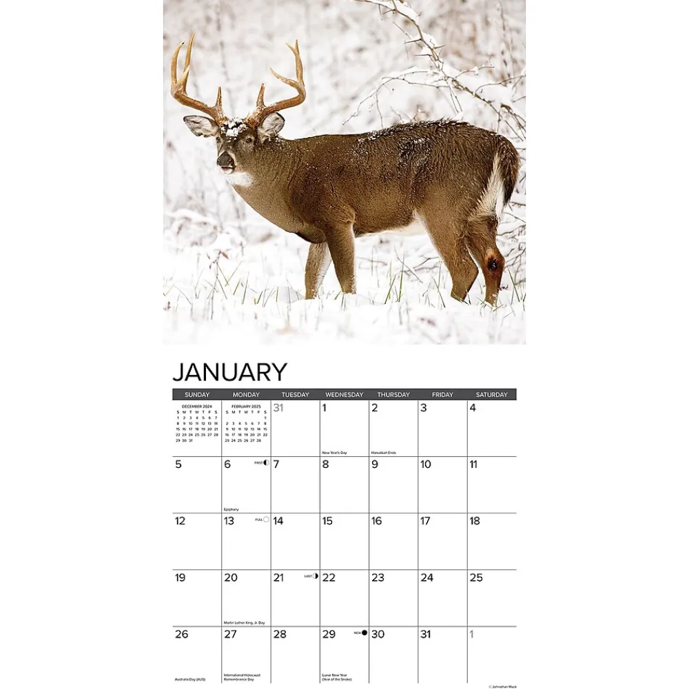 2025 Calendars|Willow Creek 2025 Whitetail Monarchs 12" x 12" Monthly Wall Calendar (45428)