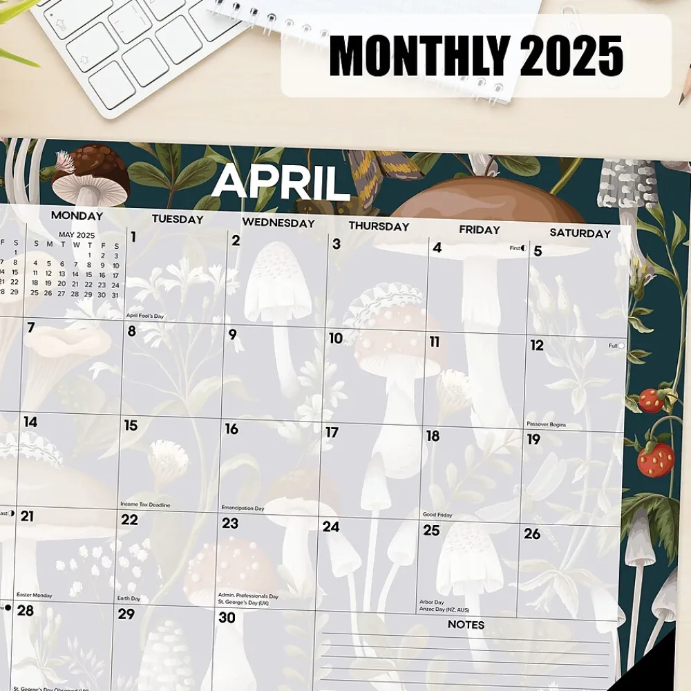 2025 Calendars|Willow Creek 2025 Woodland Mushroom 17" x 12" Monthly Desk Pad Calendar (47866)