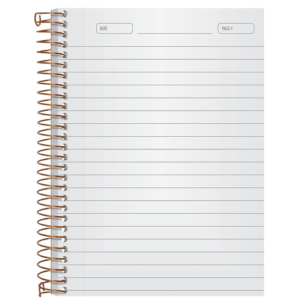 Notebooks|Ampad 1-Subject Professional Notebooks, 5" x 7", College Ruled, 100 Sheets, Gray/Silver (20-803R)