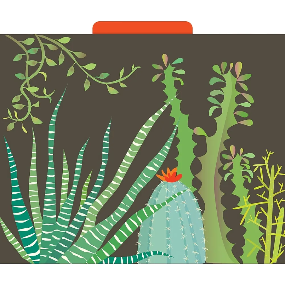 File Folders|Barker Creek File Folder Set, 1/3-Cut Tab, Letter Size, Petals & Prickles, 12/Pack (2000)