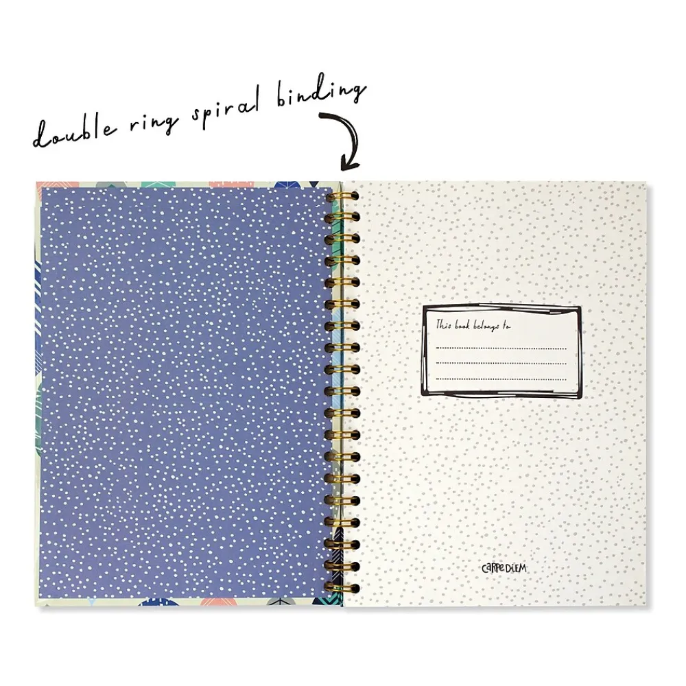 Subject Notebooks|Carpe Diem Feathers 1-Subject Notebook, 7.5" x 9.75", Wide-Ruled, 80 Sheets, Multicolor (9379-CD)