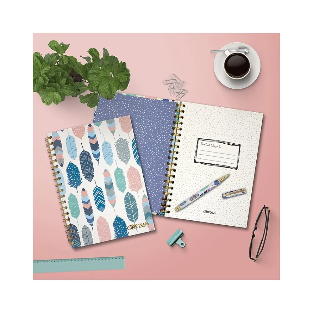 Subject Notebooks|Carpe Diem Feathers 1-Subject Notebook, 7.5" x 9.75", Wide-Ruled, 80 Sheets, Multicolor (9379-CD)