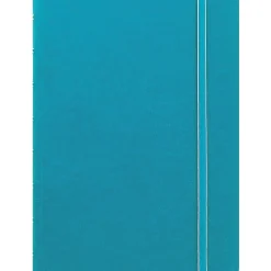 Notebooks|Filofax A5 Classic Bright 4-Subject Professional Notebooks, 5.8