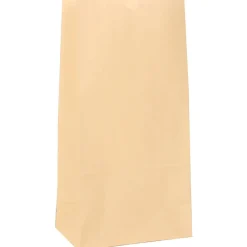 Lunch Totes & Water Bottles|JAM Paper Kraft Lunch Bags, Small, 4.25" x 8" x 2.25", Ivory Kraft, Bulk 500 Bags/Box (690KRIVB)