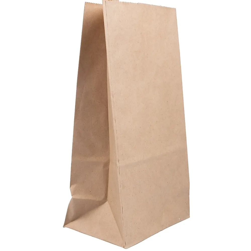 Lunch Totes & Water Bottles|JAM Paper Kraft Lunch Bags, 11" x 6" x 3.5", Brown, 25/Pack (692KRBR)
