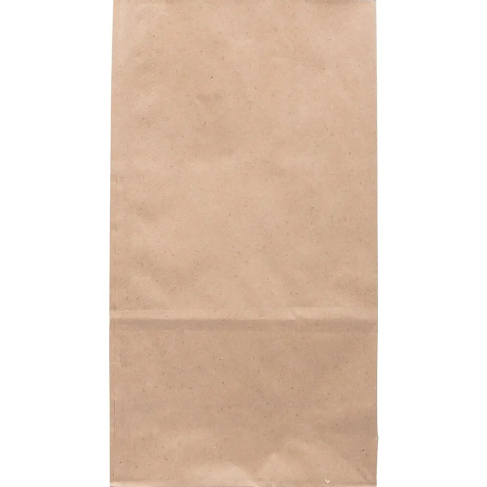 Lunch Totes & Water Bottles|JAM Paper Kraft Lunch Bags, 11" x 6" x 3.5", Brown, 25/Pack (692KRBR)
